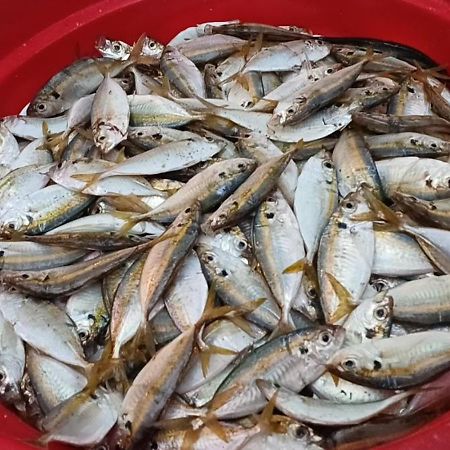Kim Lien Phu Quoc Guesthouse エクステリア 写真