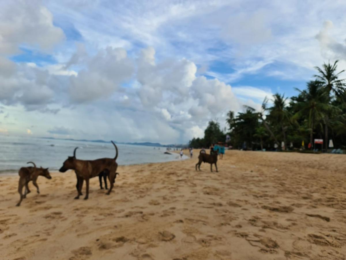 Kim Lien Phu Quoc Guesthouse エクステリア 写真